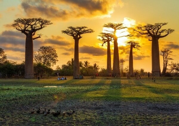 voyage à madagascar